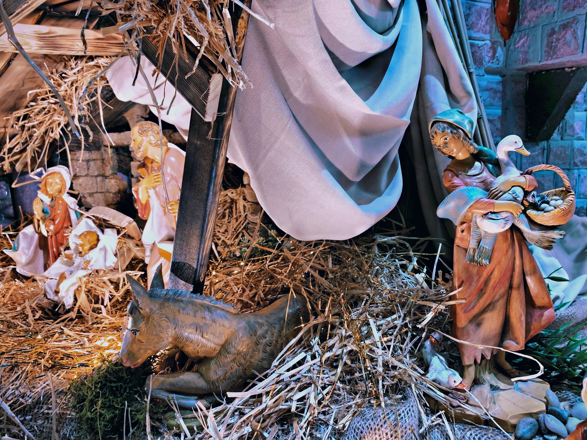 Nativity Scene at Sts. Peter and Paul